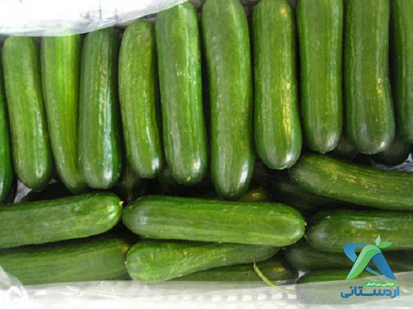 فروشندگان خیار گلخانه ای بسته بندی تازه