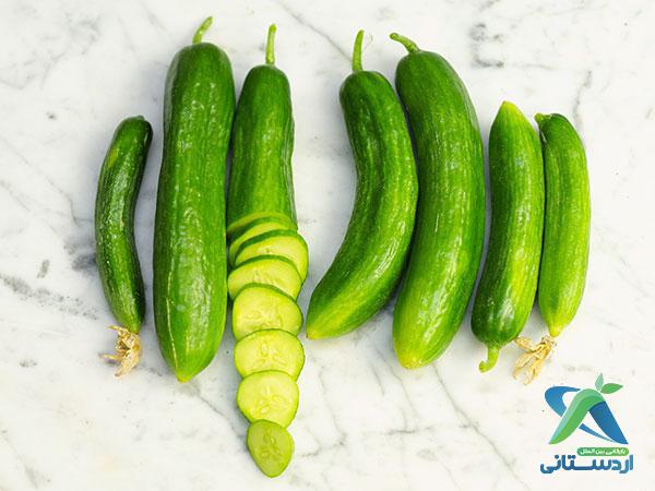 صادرات خیار گلخانه‌ای قلمی درجه یک