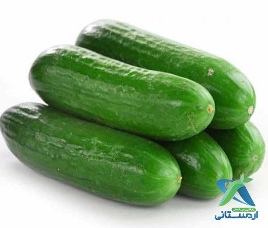 انواع خیار گلخانه ای را بشناسید