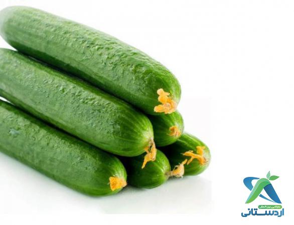 مرکز پخش خیار مجلسی گلخانه ای ارگانیک